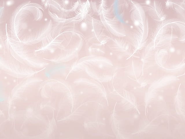 Fototapeta z unoszącymi się białymi piórami na jasnym tle