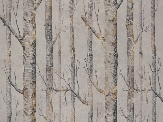 Fototapeta z pniami drzew bez liści, w rzędach, z szarym tłem