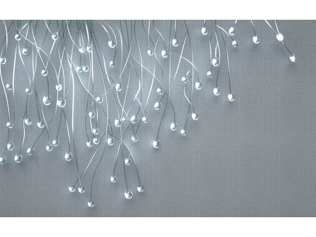 Fototapeta Srebrne gałązki na szarym tle