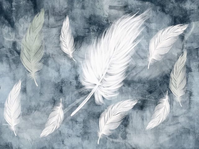 Fototapeta Unoszące się białe pióra (kod: 26166) Fototapeta z białymi piórami na niebiesko-szarym tle, różne rozmiary