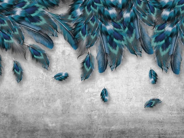 Fototapeta z dużymi niebieskimi piórami na szarym tle, idealna do wnętrz