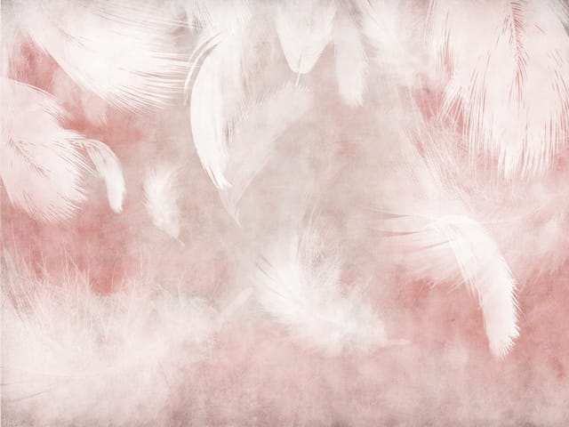 Fototapeta z dużymi białymi piórami na różowym tle z delikatnymi przejściami kolorów