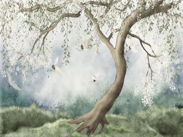 Fototapeta z drzewem o rozłożystych gałęziach i białych kwiatach