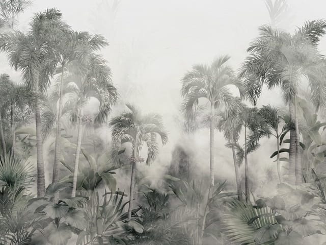 Fototapeta z wysokimi palmami otoczonymi gęstą mgłą i tropikalną roślinnością
