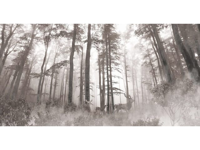 Fototapeta Jelenie w lesie we mgle