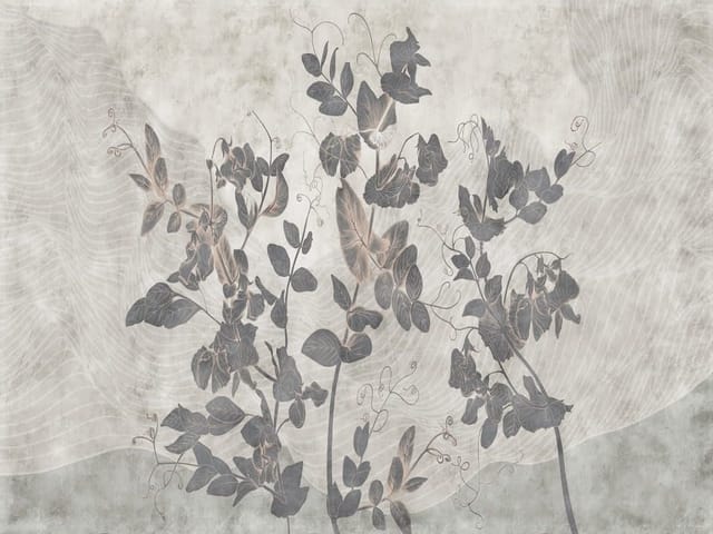 Fototapeta z delikatnymi roślinnymi pnączami na jasnym tle