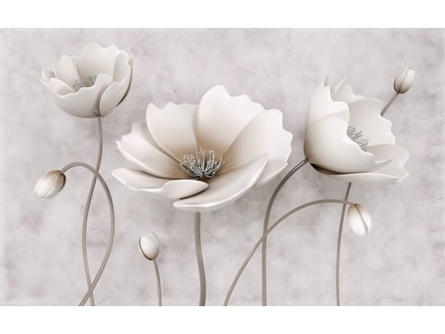 Fototapeta Białe maki na jasnym tle