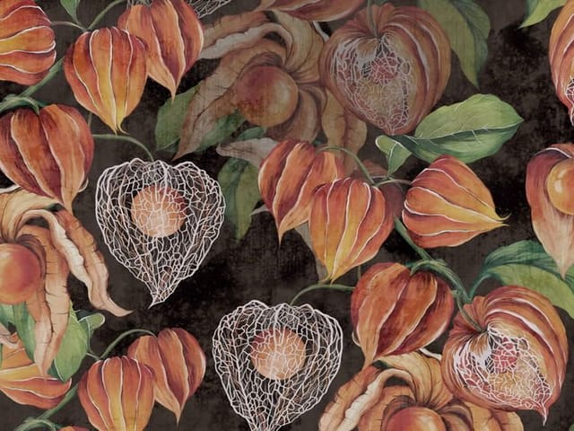 Fototapeta z kolorowymi owocami i zielonymi liśćmi na ciemnym tle