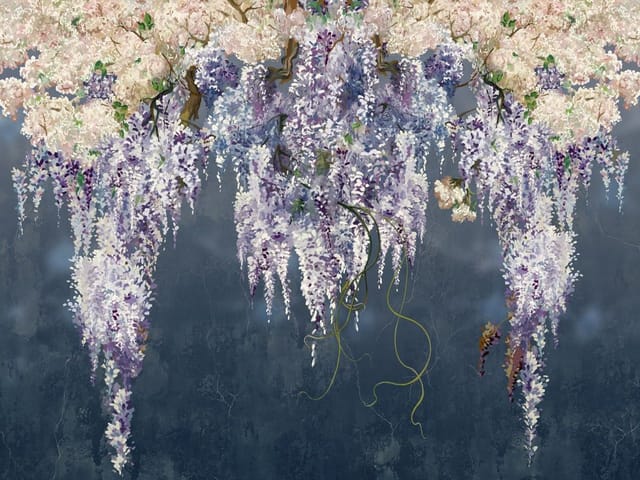 Fototapeta z wiszącymi kwiatami wisterii na ciemnym tle