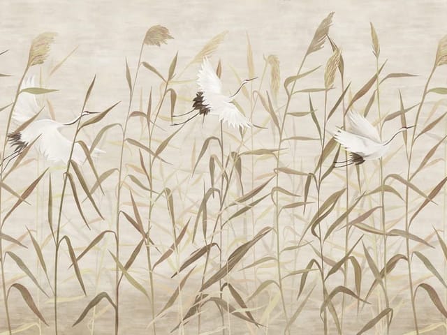 Fototapeta z białymi ptakami w locie wśród wysokich traw na delikatnym tle