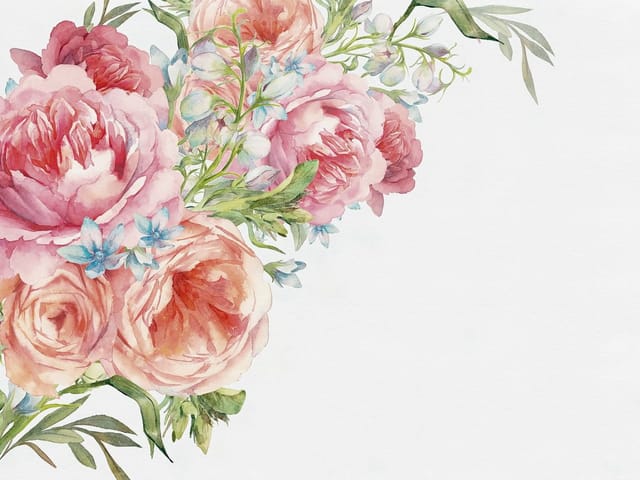 Fototapeta Różowe piwonie z liśćmi (kod: 26390) Fototapeta z bukietem różowych piwonii i zielonymi liśćmi na białym tle