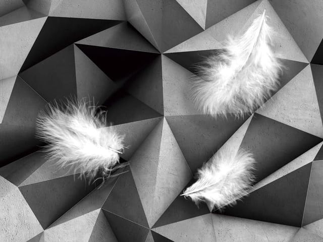 Fototapeta z trzema białymi piórami na tle geometrycznych wzorów