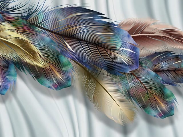 Fototapeta z dużymi, kolorowymi piórami na białym tle z delikatnymi cieniami