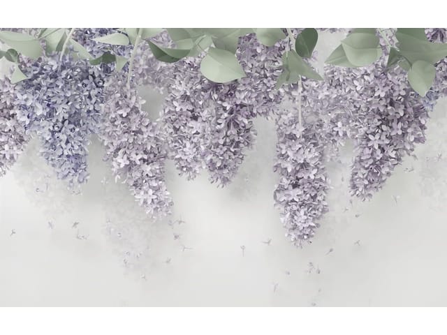 Fototapeta Egzotyczne kwiaty bzu z liśćmi