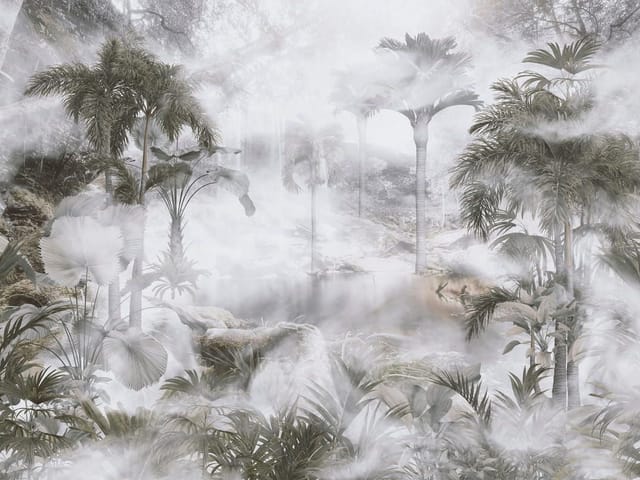 Fototapeta z palmami w mglistym lesie tropikalnym i skałami