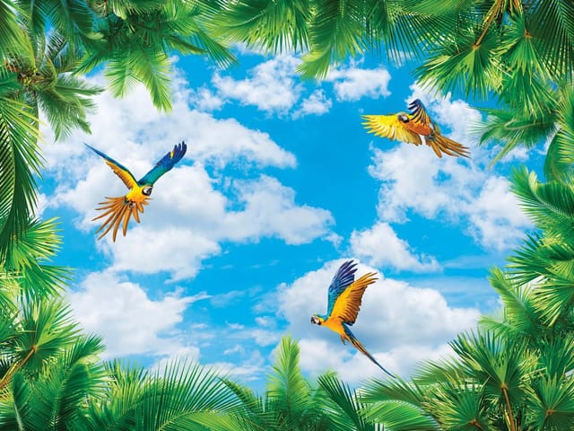 Fototapeta z papugami na tle błękitnego nieba z chmurami i palmami
