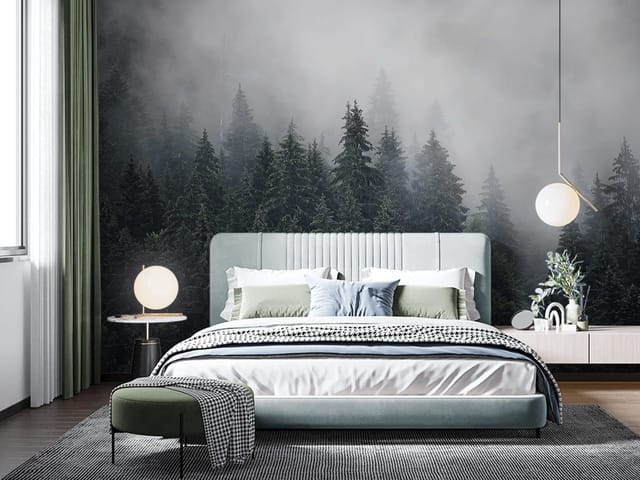 Fototapeta Mglisty las iglasty