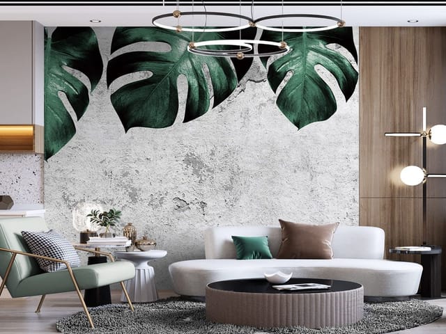 Fototapeta Zielone liście monstery