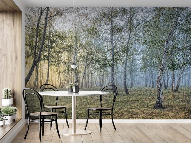 Fototapeta Las brzozowy w porannej mgle