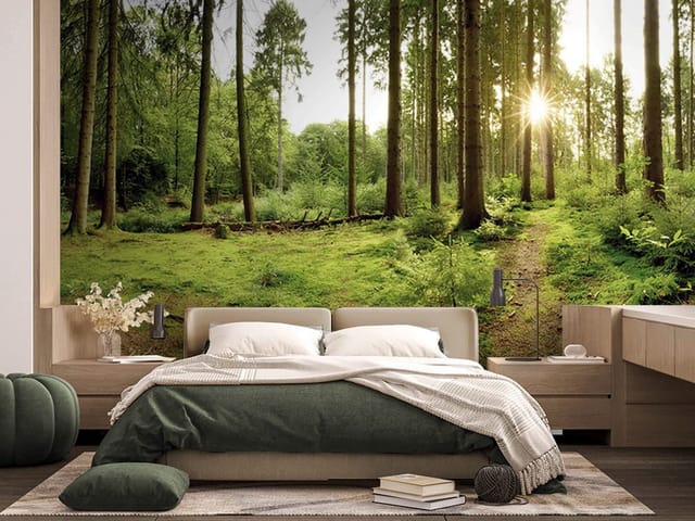 Fototapeta przedstawiająca las o świcie z wysokimi drzewami i zielonym mchem