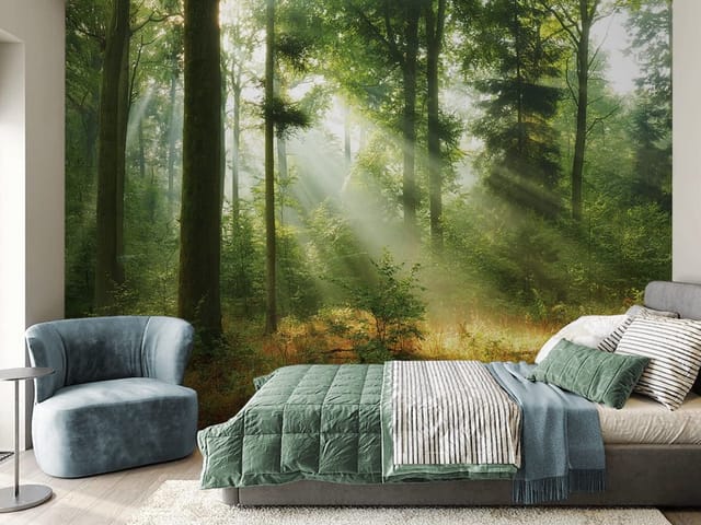 Fototapeta Promienie słońca w lesie