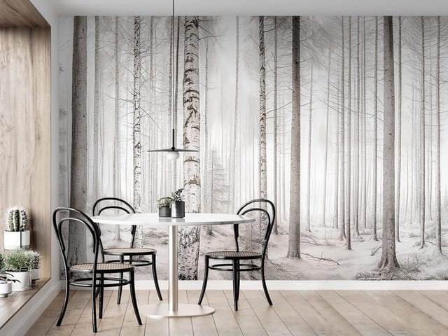 Fototapeta przedstawiająca las brzozowy zimą z mgłą i śniegiem