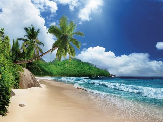 Fototapeta z plażą, palmami, oceanem i błękitnym niebem