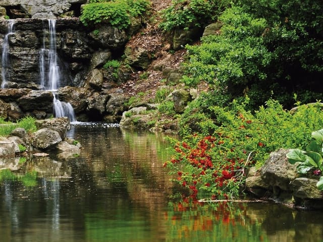 Fototapeta Wodospad w ogrodzie z kamieniami