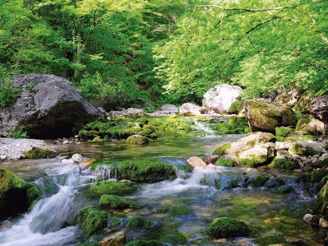 Fototapeta Strumień i mech wśród wodospadów