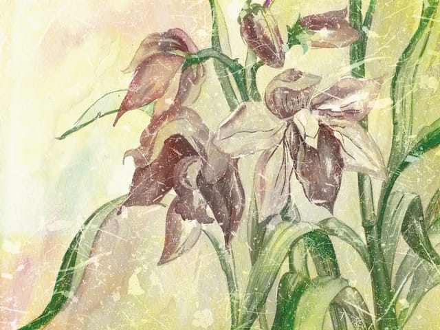 Fototapeta Lilie na jasnym tle z liśćmi (kod: 3220) Fototapeta z dużymi liliami i zielonymi liśćmi na jasnym tle