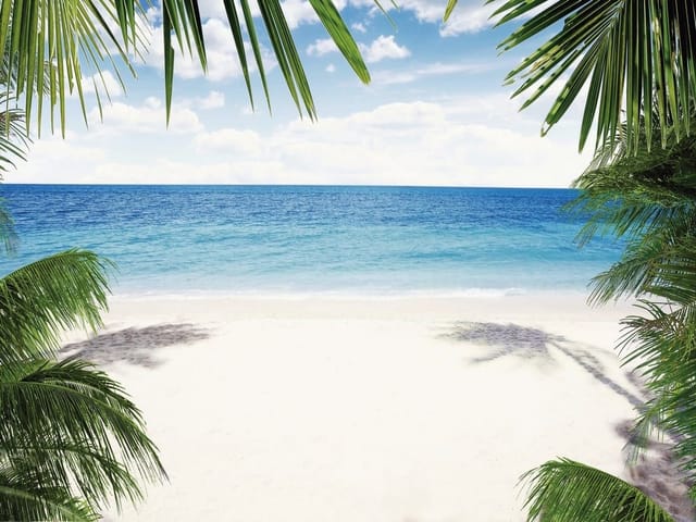 Fototapeta Plaża z palmami i oceanem (mpn: 3377) Fototapeta przedstawiająca plażę z palmami, ocean i niebo z chmurami