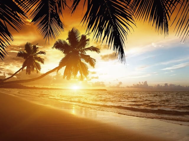 Fototapeta Palmy i zachód słońca na plaży (mpn: 3381) Fototapeta z palmami na tropikalnej plaży o zachodzie słońca