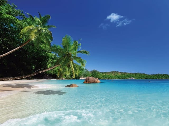 Fototapeta z plażą, palmami, turkusową wodą i błękitnym niebem