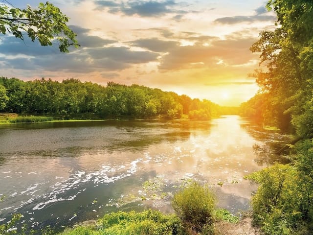 Fototapeta z rzeką otoczoną zielonymi drzewami i zachodzącym słońcem