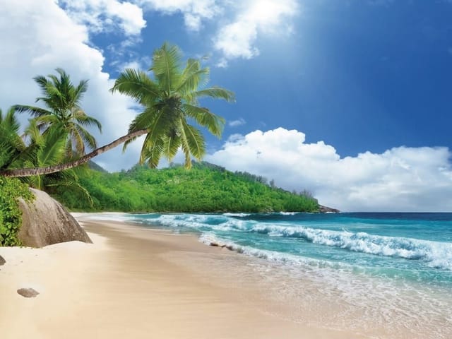 Fototapeta przedstawiająca piaszczystą plażę z palmami i oceanem