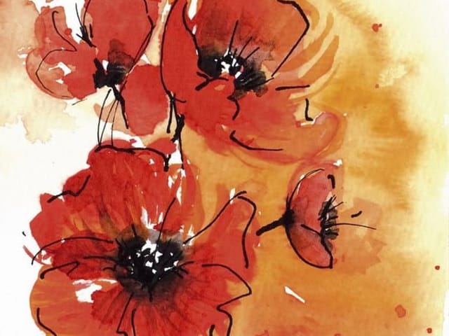 Fototapeta z czerwonymi makami na białym tle, czarne kontury