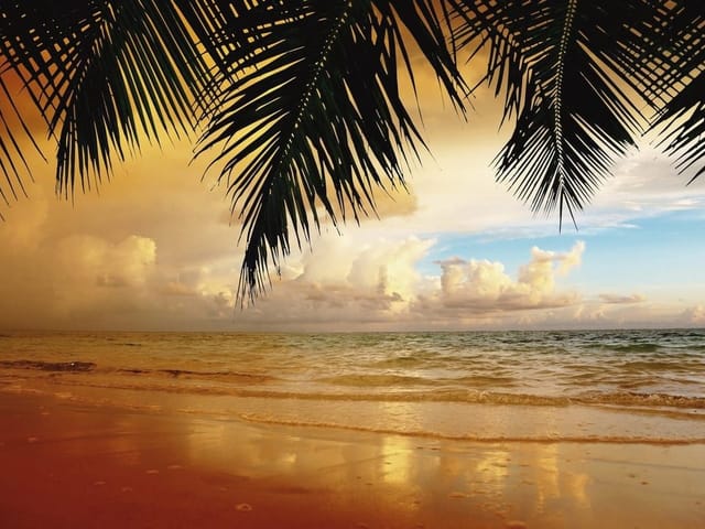 Fototapeta przedstawiająca plażę z palmami, oceanem i zachmurzone niebo