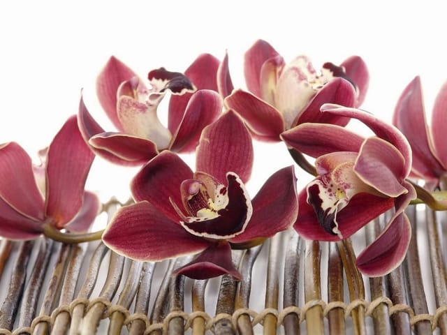 Fototapeta Czerwone orchidee na macie bambusowej (kod: 3890) Fototapeta z czerwonymi orchideami na jasnym tle i bambusowej macie