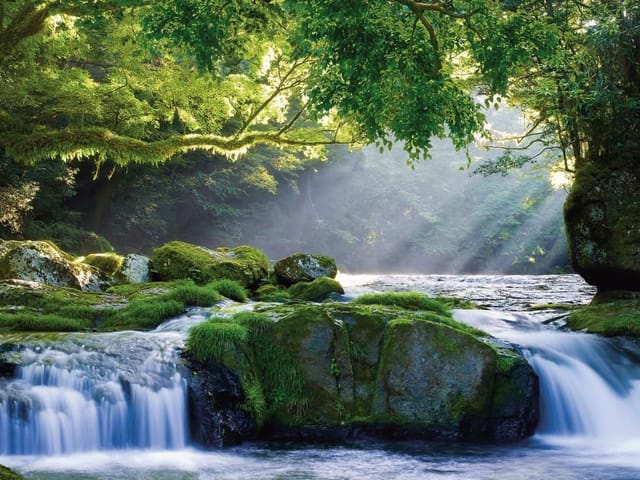 Fototapeta z wodospadem w lesie, kamienie pokryte mchem