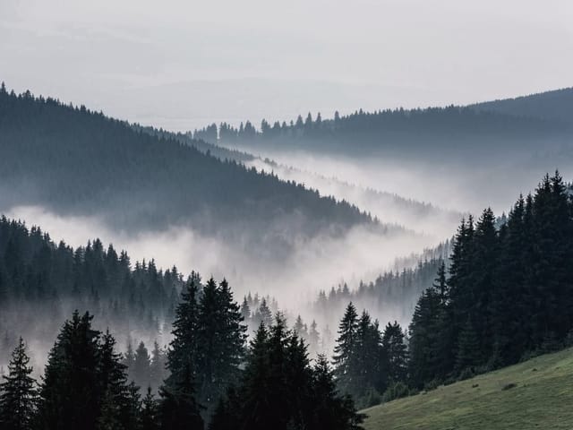 Fototapeta Górski krajobraz z lasem i mgłą (mpn: 4231) Fototapeta przedstawiająca górski krajobraz z lasem iglastym i mgłą nad doliną