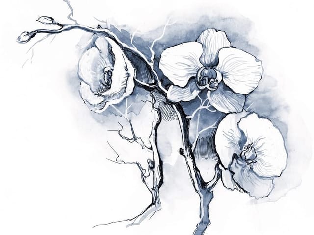 Fototapeta Orchidee na niebieskim tle (kod: 4355) Fototapeta z gałązką orchidei na niebieskim tle, delikatne linie