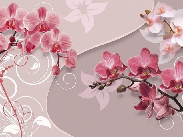 Fototapeta Różowe orchidee na pastelowym tle (mpn: 4453) Fototapeta z różowymi orchideami na gałązkach i pastelowym tle