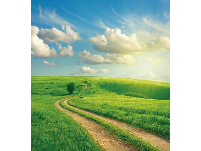 Fototapeta z krętą drogą wśród zielonych pól i błękitnym niebem