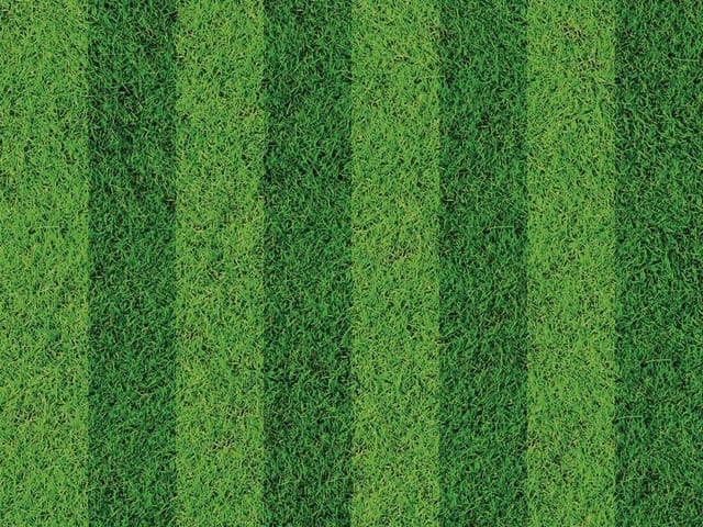 Fototapeta Zielone pasy trawy na boisku (kod: 4953) Fototapeta z zielonymi pasami trawy na boisku, widok z góry