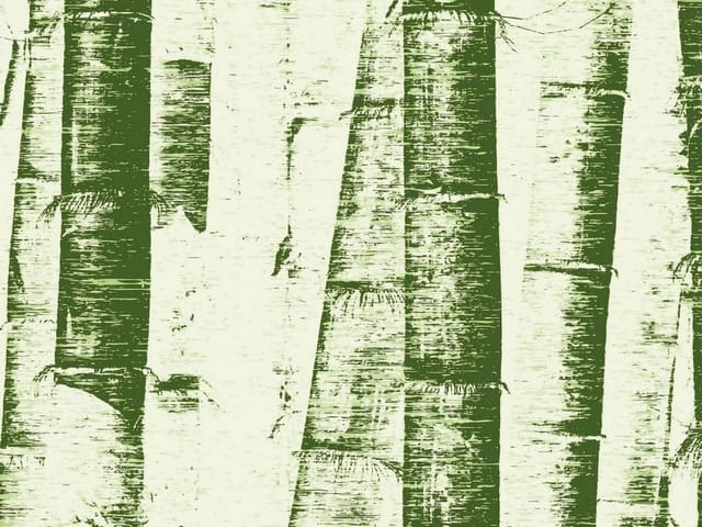 Fototapeta z pionowymi pniami bambusa w różnych odcieniach zieleni