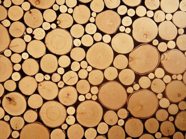 Fototapeta z drewnianymi kręgami i ciemnym tłem, widoczne słoje