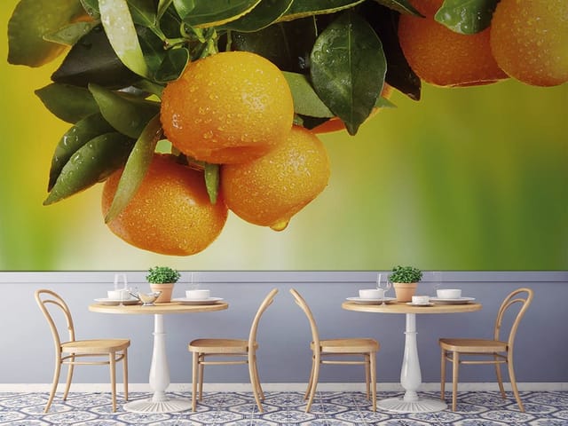 Fototapeta Gałąź z pomarańczowymi owocami