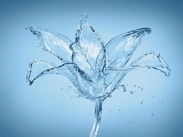 Fototapeta Kwiat z wody na niebieskim tle