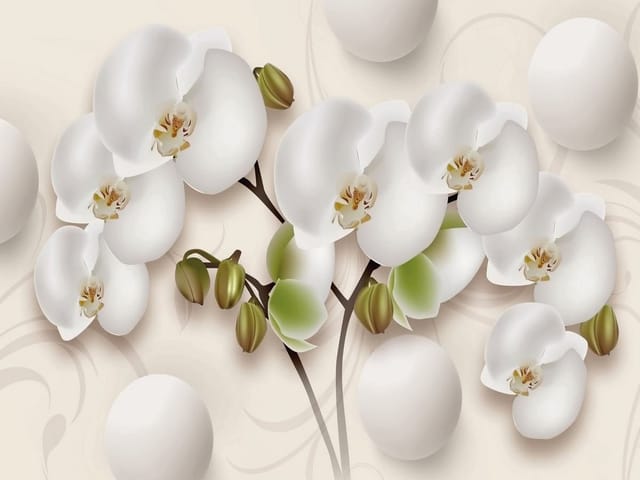 Fototapeta Białe orchidee na gałęzi (mpn: 5421) Fototapeta z białymi kwiatami orchidei na beżowym tle z zielonymi pąkami