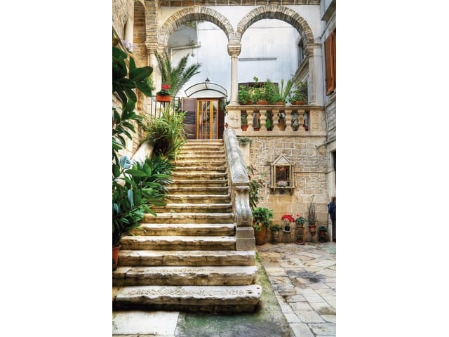 Fototapeta z kamiennymi schodami i roślinami w doniczkach